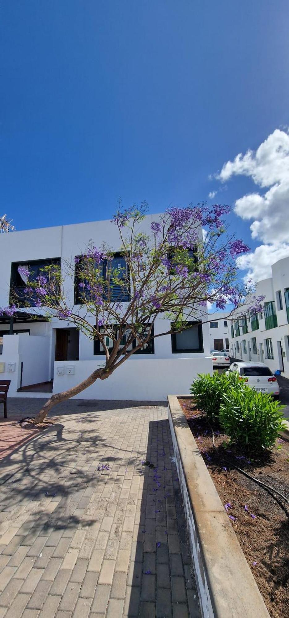 Apartamento Margarita Коста Бланка Экстерьер фото